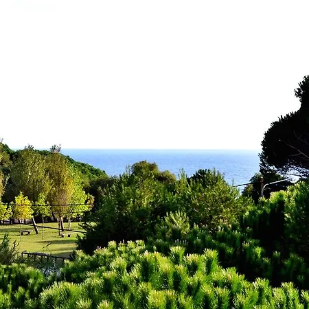 Duerming Playa Hotel 2*