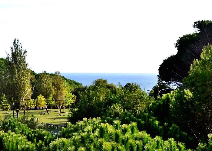 Duerming Playa Otel 2*